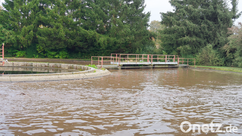 Bald ausgedient hat die Friedenfelser Kläranlage. Zügig soll der Anschluss an die Kläranlage in Krummennaab erfolgen Bild: bsc
