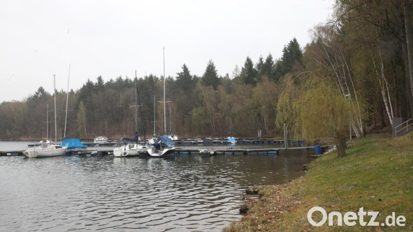 Das Waldstück hinter der Bootsanlegestelle des Steinberger Yachtclubs soll auf einer Fläche von 0,8 Hektar gerodet werden. Dort werden sieben Wochenendhäuser entstehen. Bild: Hirsch