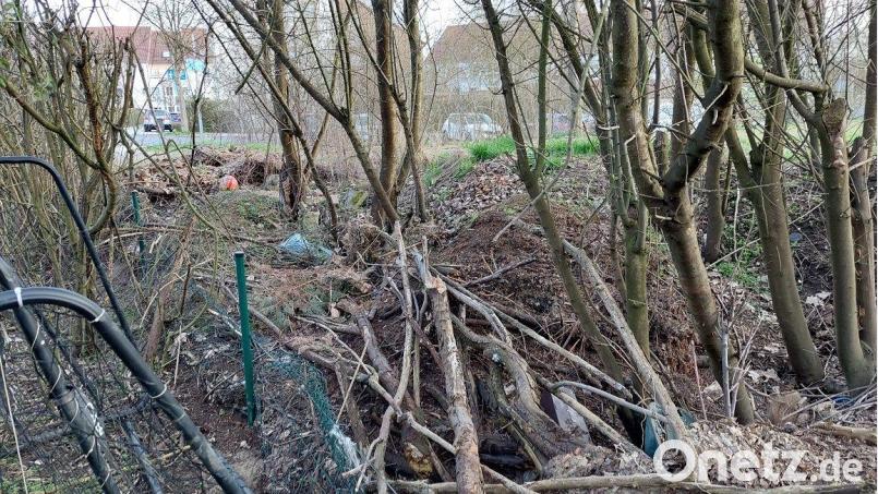 Die illegalen Grüngutablagerungen in der Othmayrstraße sind der Stadt Amberg ein Dorn im Auge. Sie verursachen zusätzlichen Aufwand und Kosten und beschädigen einen Zaun. Bild: Susanne Uschold/Stadt Amberg