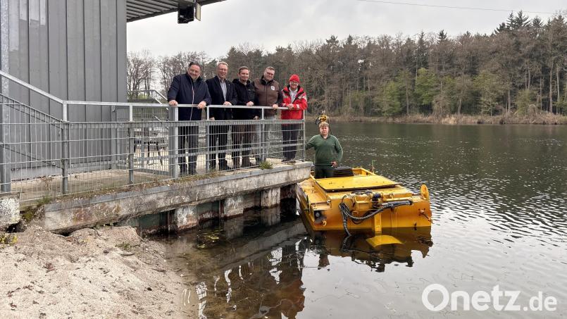 Bürgermeister Thomas Beer, stellvertretender Geschäftsleiter Georg Beer, Michael Sendbühler und Markus Schießl vom Fischereiverein Teublitz, Wasserwacht-Vorsitzender Markus Frey und Maximilian Häckl (von links) von der Firma Roider aus Lupburg begutachteten die Mäharbeiten an der Badestelle Höllohe. Bild: Thomas Stegerer