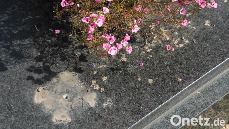Auf dem Katharinenfriedhof waren Grabschänder am Werk. Der Schaden ist enorm. Archivbild: Wolfgang Steinbacher