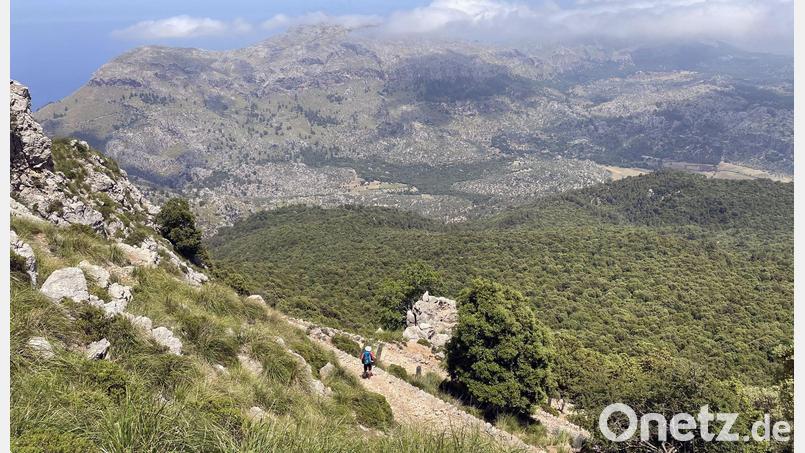 Ein deutscher Wanderer ist auf Mallorca in den Tod gestürzt. Bild: Manuel Meyer/dpa-tmn