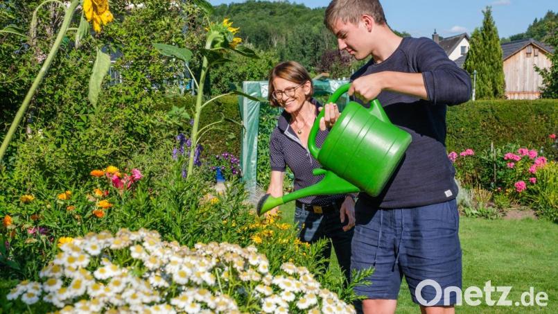 Taschengeldbörse Amberg-Sulzbach: Bis der Garten so schön blüht, gibt es viele Handgriffe zu tun Bild: Günter Scharl