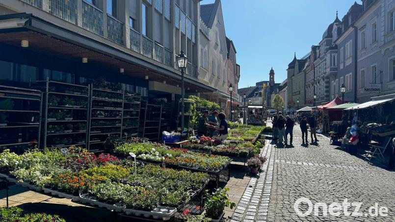 Marktredwitz lädt am 26. April zum Frühjahrs-Shopping-Sonntag ein. Bild: Stadt Marktredwitz/Pauline Manzke
