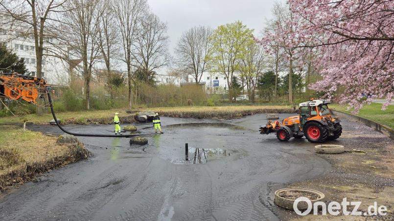 Der Teich an der Max-Reger-Halle in Weiden ist derzeit ohne Wasser. Mitarbeiter der Stadtgärtnerei säubern ihn. Bild: Stadt Weiden