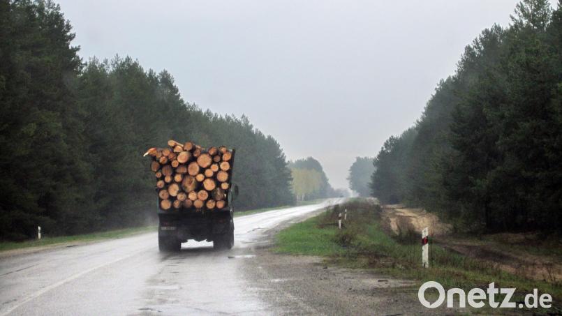Die Polizei stoppte überladene Holztransporter in Bärnau und Plößberg. Symbolbild: Andreas Stein/dpa