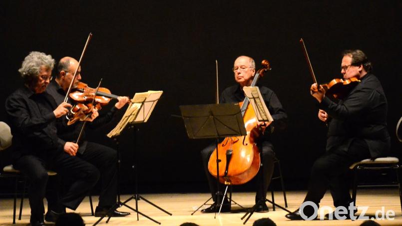 Das "Kodály Quartett" zu Gast bei den Weidener Meisterkonzerten. Bild: Kunz