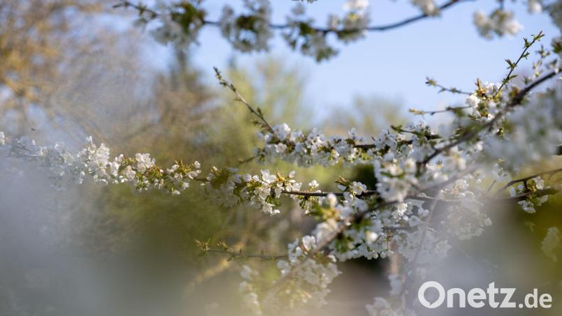Am Samstag scheint vor allem im Süden Bayerns die Sonne. Bild: Pia Bayer/dpa