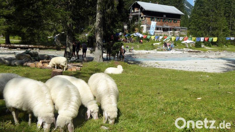 Der tragische Unfall ereignete sich unweit der Reintalangerhütte des Alpenvereins. (Archivbild) Bild: Angelika Warmuth/dpa