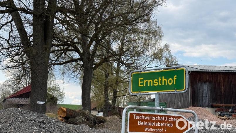 Auf einem bestehenden Hofareal in Ernsthof werden zwei alte Scheunen und ein Garagenbau abgebrochen. Als Ersatz wird anstelle der alten Scheune an der südlichen Grundstücksgrenze eine neue Lager- und Unterstellhalle errichtet, die verschiedene Fahrzeuge und Geräte beherbergen soll. Bild: Susanne Forster