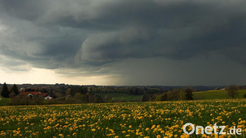 Aprilwetter in Bayern: Blühende Wiesen, Gewitter - aber auch nochmal Frost. Bild: Alexander Wolf/onw-images/dpa