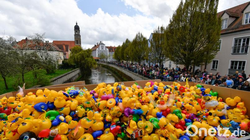Im Vordergrund die kreativ verzierten gelben Plastikenten, im Hintergrund der Turm der Basilika St. Martin: Das ist das Entenrennen in Amberg in der Vils. Archivbild: Petra Hartl