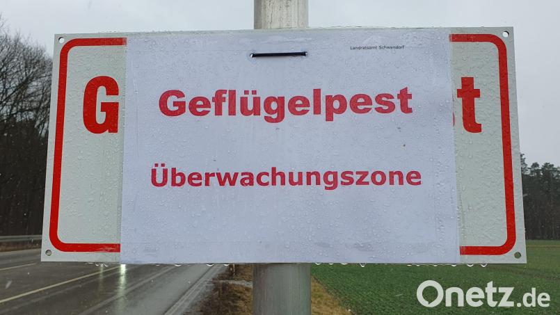 Nach Geflügelpest-Ausbruch: Aktuell gilt eine Schutz- und Überwachungszone im östlichen Landkreis Schwandorf. Archivbild: Hösamer