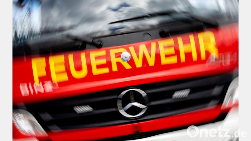 Waldbrand bei Gemünden: Zwei Jugendliche stehen im Verdacht, das Feuer fahrlässig verursacht zu haben. (Symbolbild) Bild: Hauke-Christian Dittrich/dpa