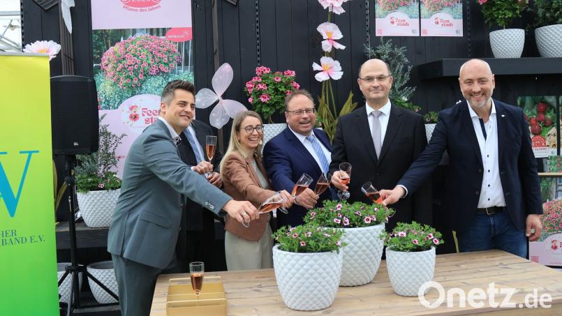 Bei der Taufe der Pflanze des Jahres 2026 in Oberviechtach, dem Feenstaub, waren (von links) Bürgermeister Rudolf Teplitzky, Ulla Baumer Inhaberin Gärtnerei Baumer, Bernd Fischer Bezirksvorsitzender Bayerischer Gärtnerei-Verband für die Oberpfalz, Staatsminister Albert Füracker und Reiner Steinhilber Vorsitzender für Endverkaufsbetriebe Bayerischer Gärtnerei-Verband. Bild: Fischer