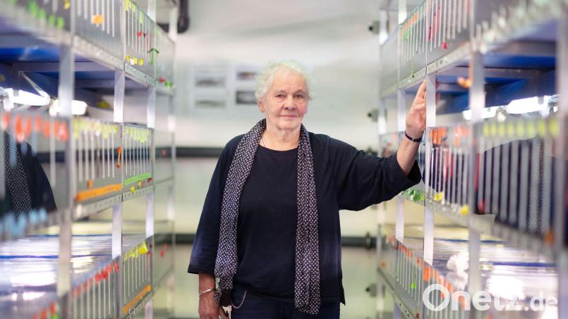Christiane Nüsslein-Volhard wünscht sich mehr Wertschätzung für Naturwissenschaften. (Archivbild) Bild: Marijan Murat/dpa