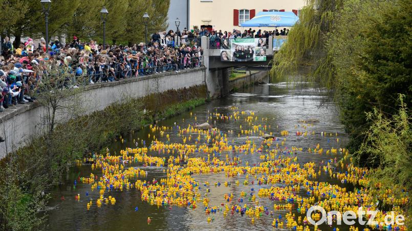 Entenrennen Amberg 2023 Plastikenten in der Vils Bild: Petra Hartl