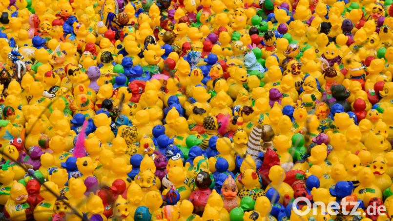 Wegen des Entenrennens am Wochenende wird der Parkplatz im Hof des Landratsamts Amberg-Sulzbach gesperrt. Symbolbild: Petra Hartl