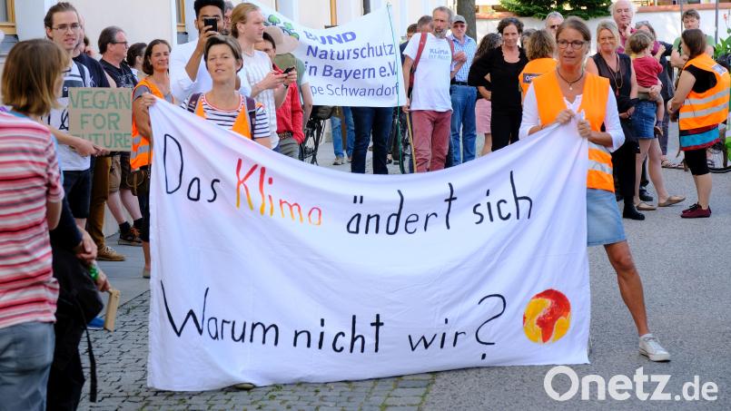 Fridays for Future Amberg ruft zum Klimastreik auf. Archivbild: Fridays for Future Amberg