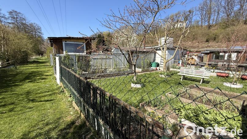 Die Gartenoasen bei der Alten Schießstätte in Neustadt stehen im Überschwemmungsgebiet der Waldnaab. Nach der Kündigung der Pachtverträge hoffen die Besitzer auf eine Lösung, die nicht das Ende ihrer Aktivitäten bedeutet. Bild: Gabi Schönberger