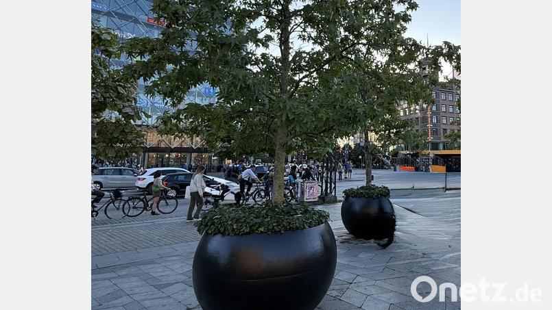 Solche überdimensionalen Blumentöpfe wie hier in Kopenhagen sollen künftig in Waldsassen am Johannisplatz und in kleinerer Ausführung am Basilikaplatz stehen. Über das "mobile Grün" im Innenstadtbereich gab es in der Sitzung des Stadtrats eine angeregte Diskussion. Bild: Bernd Sommer