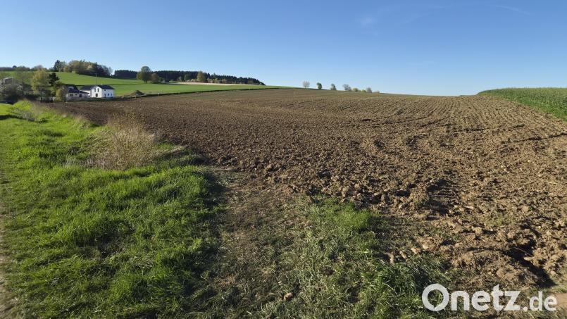 Bei Kirchendemenreuth soll bald das Wohngebiet "Leite" entstehen. Bild: sne