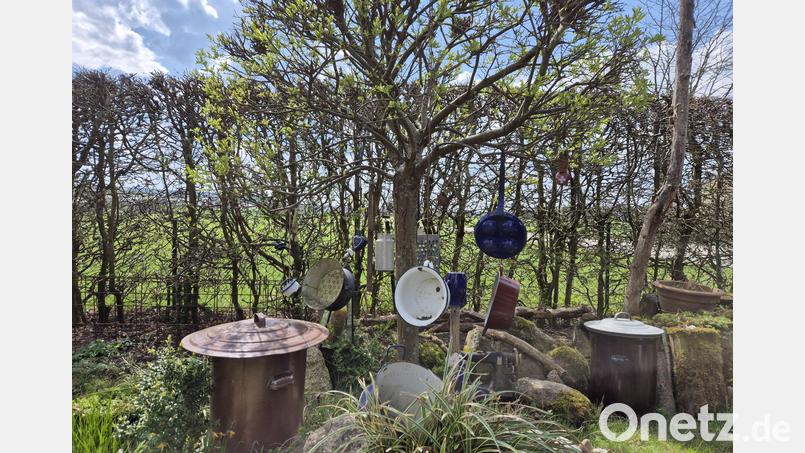 Zum Kochen taugen die alten Töpfe wohl nicht mehr, aber als Dekoration an einem Baum im Garten von Renate Spannl geben sie ein schönes Bild ab. Bild: Lowak