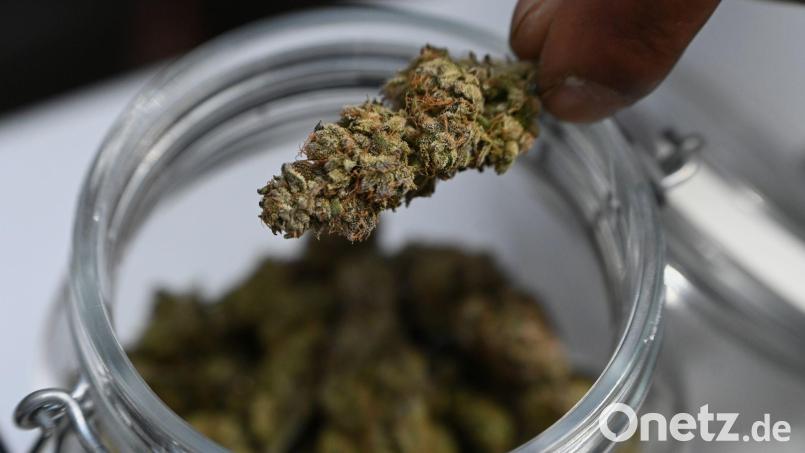 Mehr als sieben Kilo Marihuana stellte die Polizei bei dem Einsatz sicher. (Symbolbild) Bild: Michael Brandt/dpa