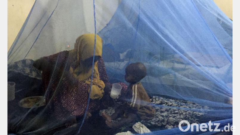 Wirksamer Schutz vor Malaria: Moskitonetze. (Archivbild) Bild: Eva-Maria Krafczyk/dpa