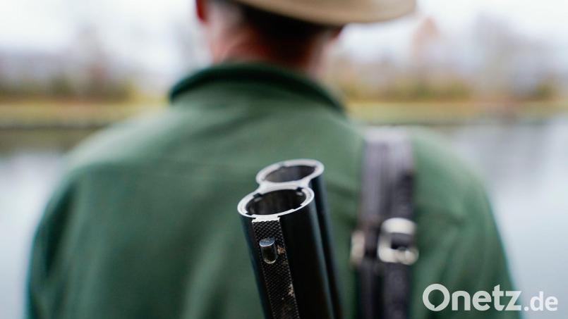 Der bayerische Jagdverein hat einen neuen Präsidenten. (Symbolbild) Bild: Uwe Anspach/dpa