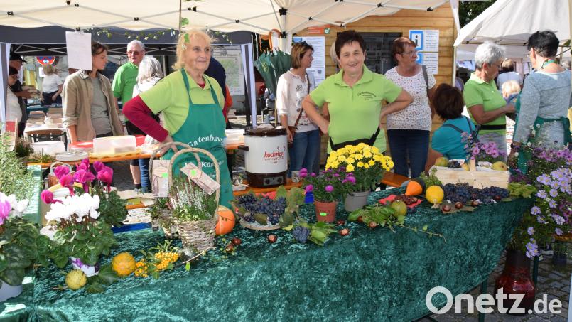 Am 1. Mai ist Markttag in Königstein. Auch der Gartenbauverein ist stets am Markt der Genüsse vertreten und verköstigt die Gäste mit Kaffee und Kuchen Bild: hdk