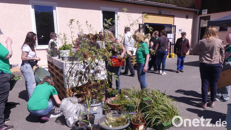 Die Freifläche vor der SCE-Halle wurde zum Mekka der Gartenfreunde. Es herrschte ein stetes Kommen und Gehen. Bild: rn