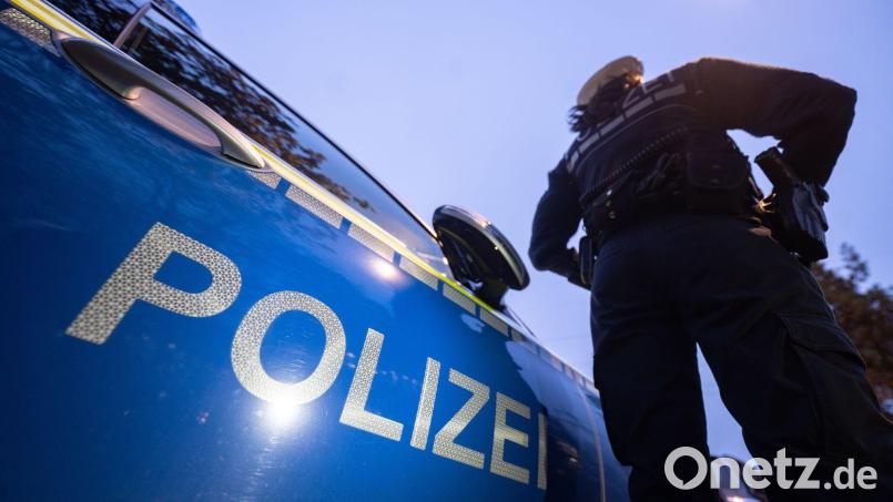 Mit einem Streifenwagen wird die Hundedame in ein Tierheim gebracht. (Symbolbild) Bild: Marijan Murat/dpa