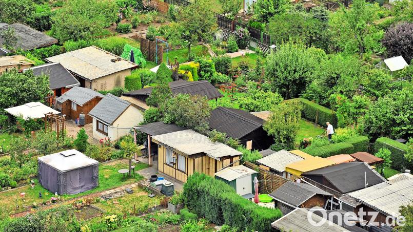 Von den jahrelangen kriminellen Machenschaften in ihrem Vereinsvorstand hatten die anderen Kleingärtner keine Ahnung. Symbolbild: Hendrik Schmidt
