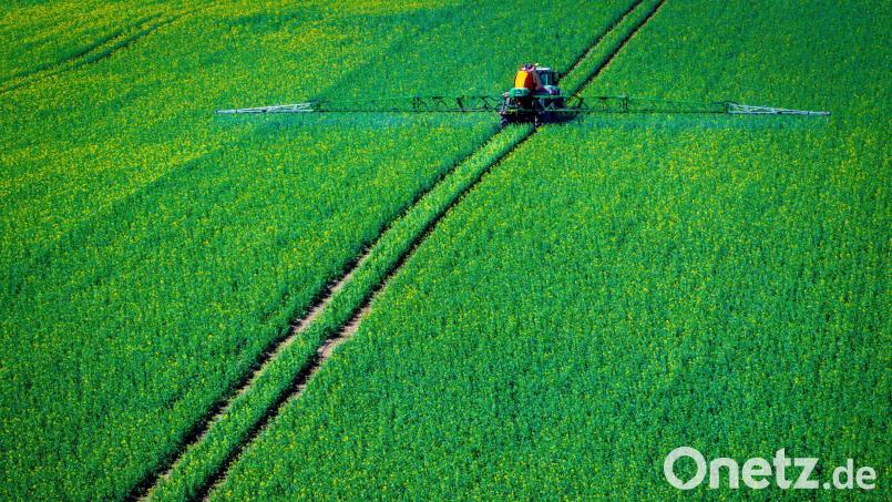Pflanzenschutzmittel sollen die Ernte sichern. (Symbolbild) Bild: Jens Büttner/dpa