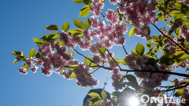 Die Sonne scheint fast überall den ganzen Tag. (Archivbild) Bild: Stefan Puchner/dpa