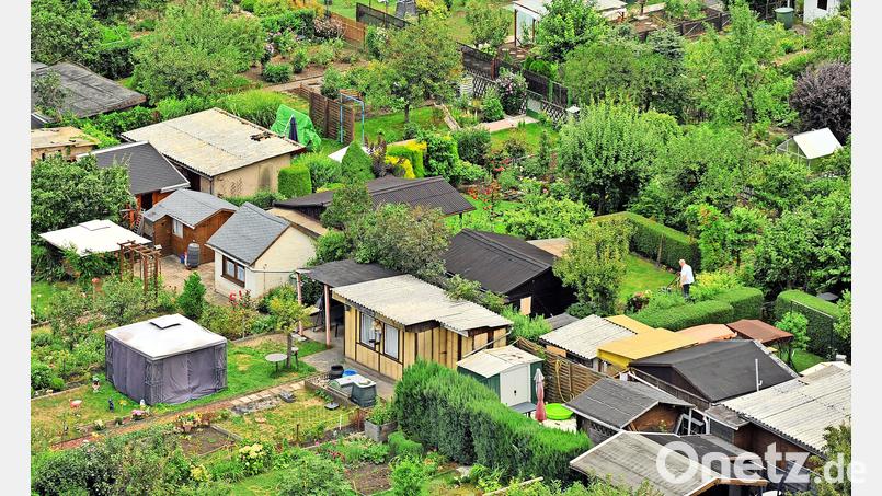 Von den jahrelangen kriminellen Machenschaften in ihrem Vereinsvorstand hatten die anderen Kleingärtner keine Ahnung. Symbolbild: Hendrik Schmidt