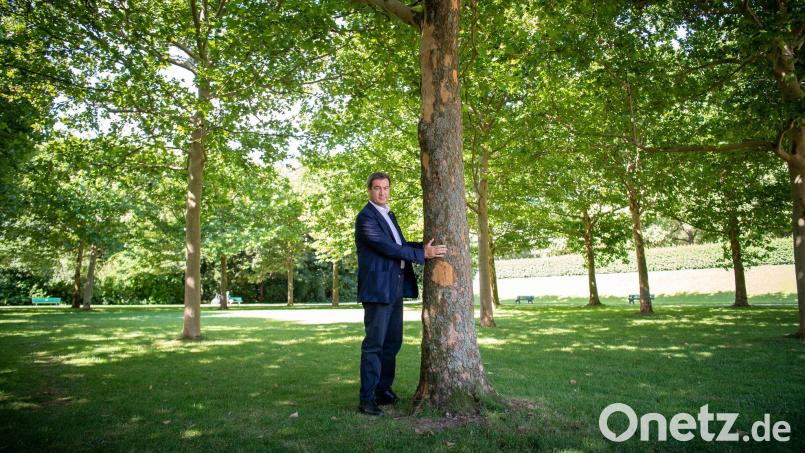 Dieses Foto verfolgt Markus Söder seit seiner Aufnahme 2020: Damals umarmte der bayerische Ministerpräsident einen Baum in München um zu zeigen, wie wichtig ihm der Klimaschutz ist. Nun hat Söders Kabinett die Klimaneutralität von 2040 auf 2045 verschoben. (Archivbild) Bild: Peter Kneffel/dpa