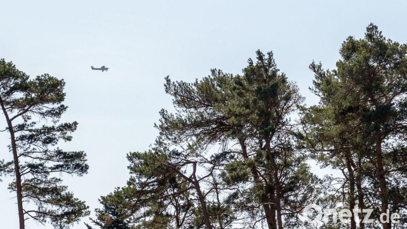 Aufgrund erhöhter Waldbrandgefahr plant die Niederbayerische Regierung in dieser Woche sechs Flüge zur Luftbeobachtung. (Symbolbild) Bild: Pia Bayer/dpa