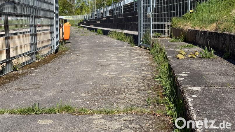 Die sogenannte Sportplatzbarriere inklusive Zaun und Weg im Amberger Stadion am Schanzl muss dringend erneuert werden. Das passiert jetzt im Zuge der Sanierung der Leichtathletikanlage. Bild: Petra Hartl