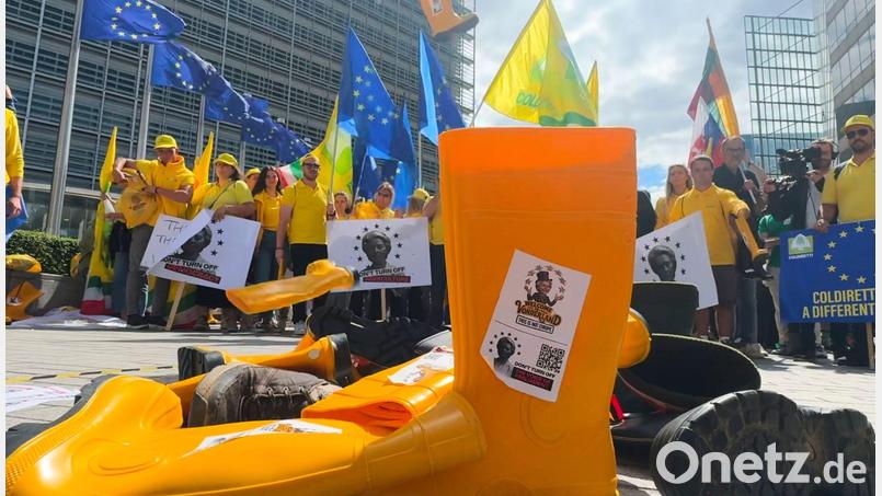 Die EU-Abgeordneten wollen Europas Landwirten mehr Geld fest zusagen. (Archivbild) Bild: Sylvain Plazy/ap/AP/dpa