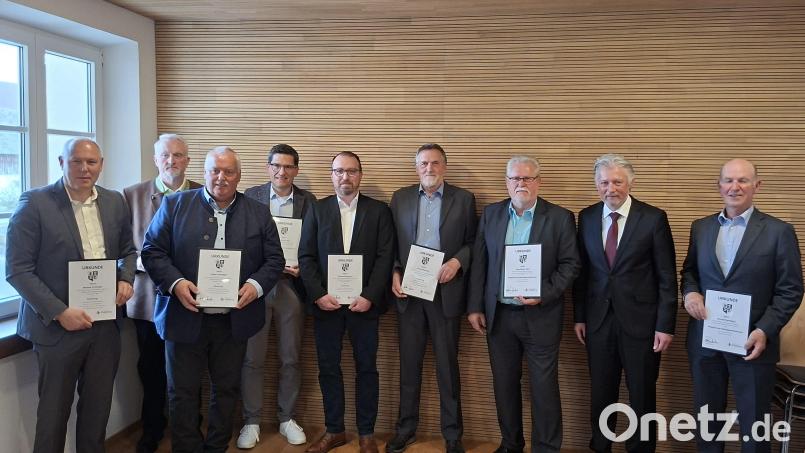 Michael Ebenhöch, Lothar Müller, Hans-Dieter Dietl, Franz Wittmann, Thomas Richtmann, Dr. Marco Heß, Hubert Schwägerl, Reinald Roderer und Markus Preisinger (von rechts) wurden für 18-jährige Tätigkeit im Gemeinderat geehrt bzw. aus dem Gremium verabschiedet. Bild: prh