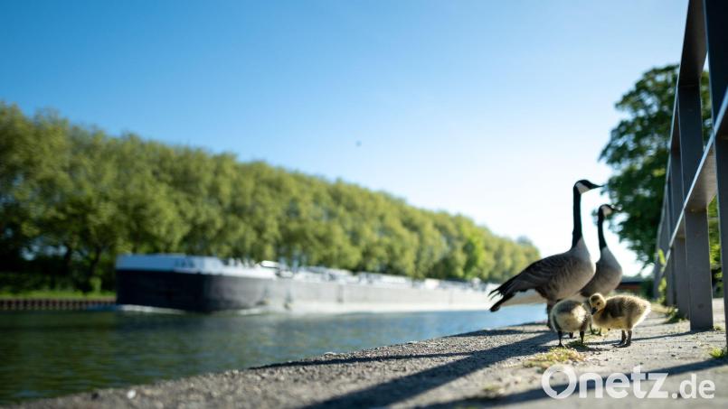 Viel Sonne und Temperaturen über 20 Grad sind in den nächsten Tagen zu erwarten. Bild: Fabian Strauch/dpa