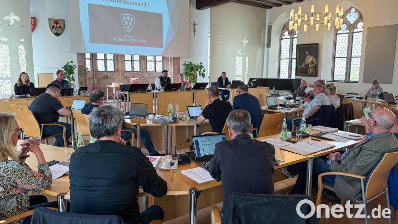 Der Sulzbach-Rosenberger Stadtrat hat 24 Mitglieder und tagt einmal monatlich im Großen Rathaussaal. Bei der letzten Sitzung der abgelaufenen Wahlperiode wurden sieben Stadträte verabschiedet. Bild: Petra Hartl
