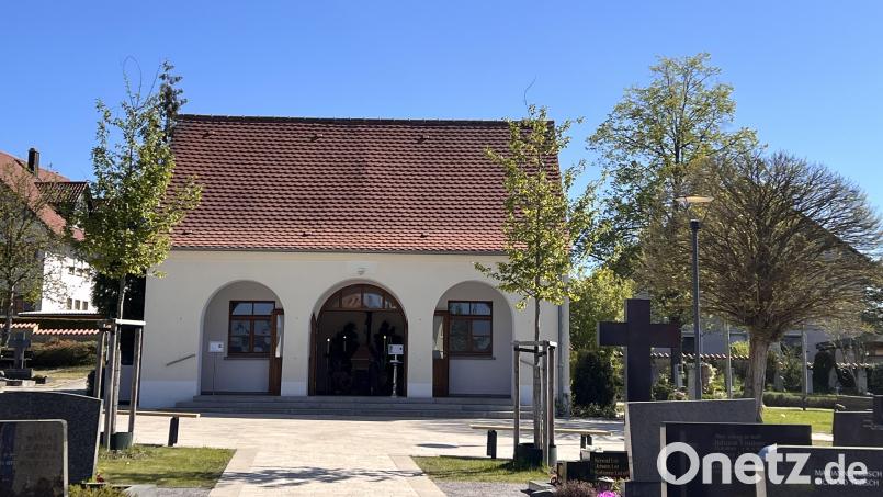 Zwei Ginkgobäume zieren den Vorplatz der erneuerungsbedürftigen Leichenhalle. Weitere sechs sollen folgen. Bild: mma
