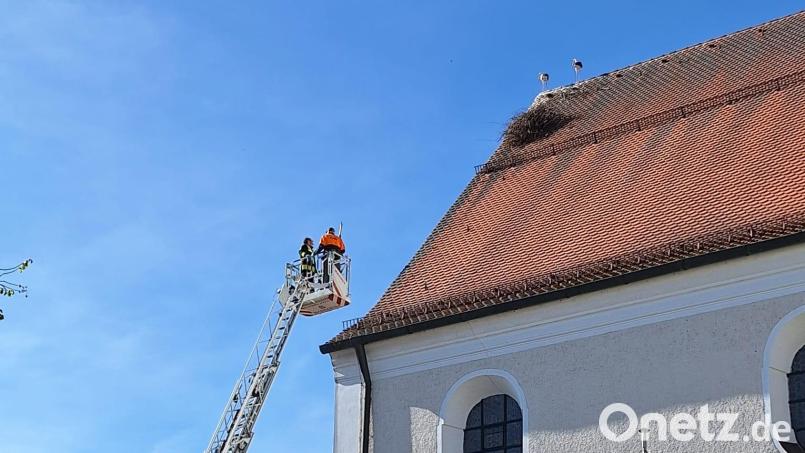 Mit der Drehleiter versucht die Feuerwehr zu retten, was noch zu retten ist. Inzwischen ist das Nest auf der Pfreimder Stadtpfarrkirche bis zum Schneefanggitter abgerutscht. Bild: bl