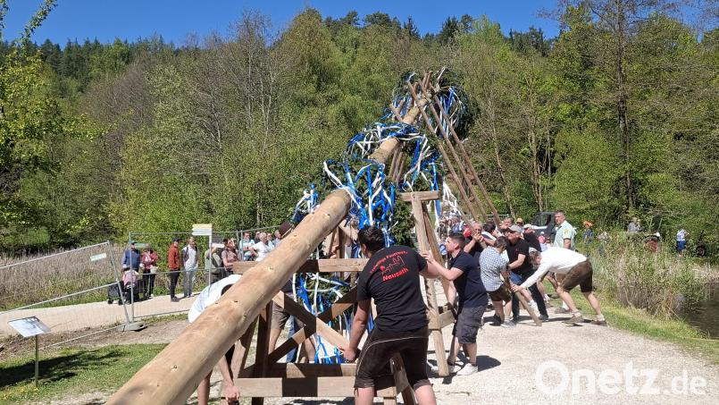 Die freiwillligen Helfer der Dorfvereine gaben sich beim Maibaum aufstellen im Freilandmuseum Neusath größte Mühe. Bild: jua