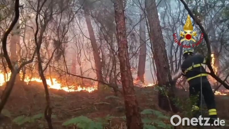 Wegen des Waldbrands mussten mehr als 3.500 Menschen ihre Häuser verlassen. Bild: -/Vigili del Fuoco/dpa