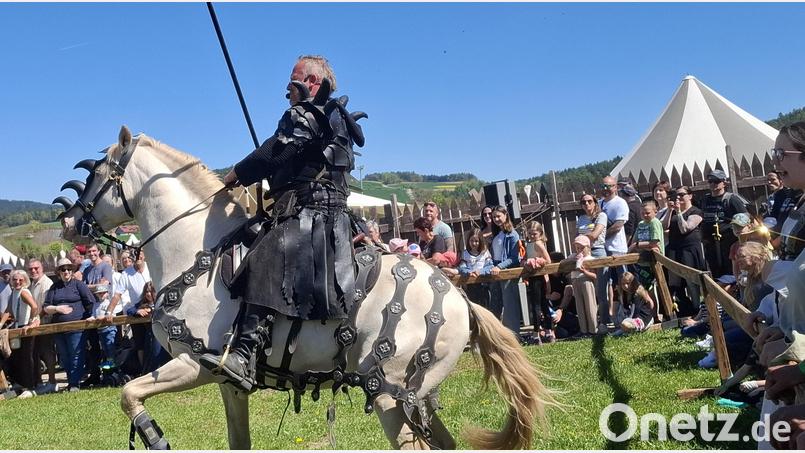 Hoch zu Ross zieht der edle Ritter in den Kampf. Bild: jua