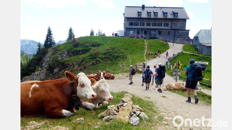 Das Rotwandhaus ist ein beliebtes Wanderziel. (Archivbild) Bild: Angelika Warmuth/dpa